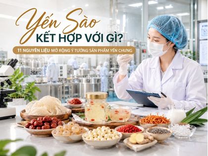 Yến Sào Kết Hợp Với Gì? 11 Nguyên Liệu Phát Triển Sản Phẩm Yến Chưng